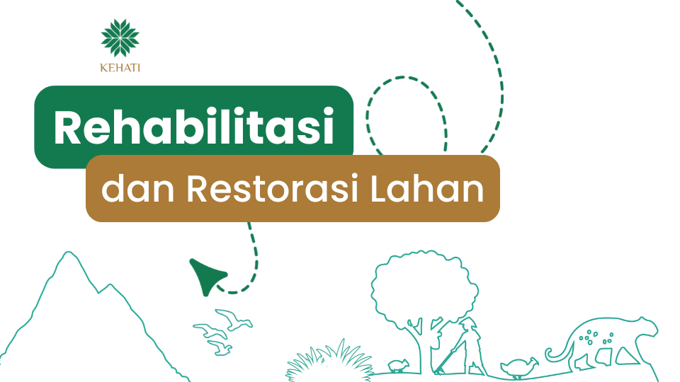 Rehabilitasi & Restorasi Lahan